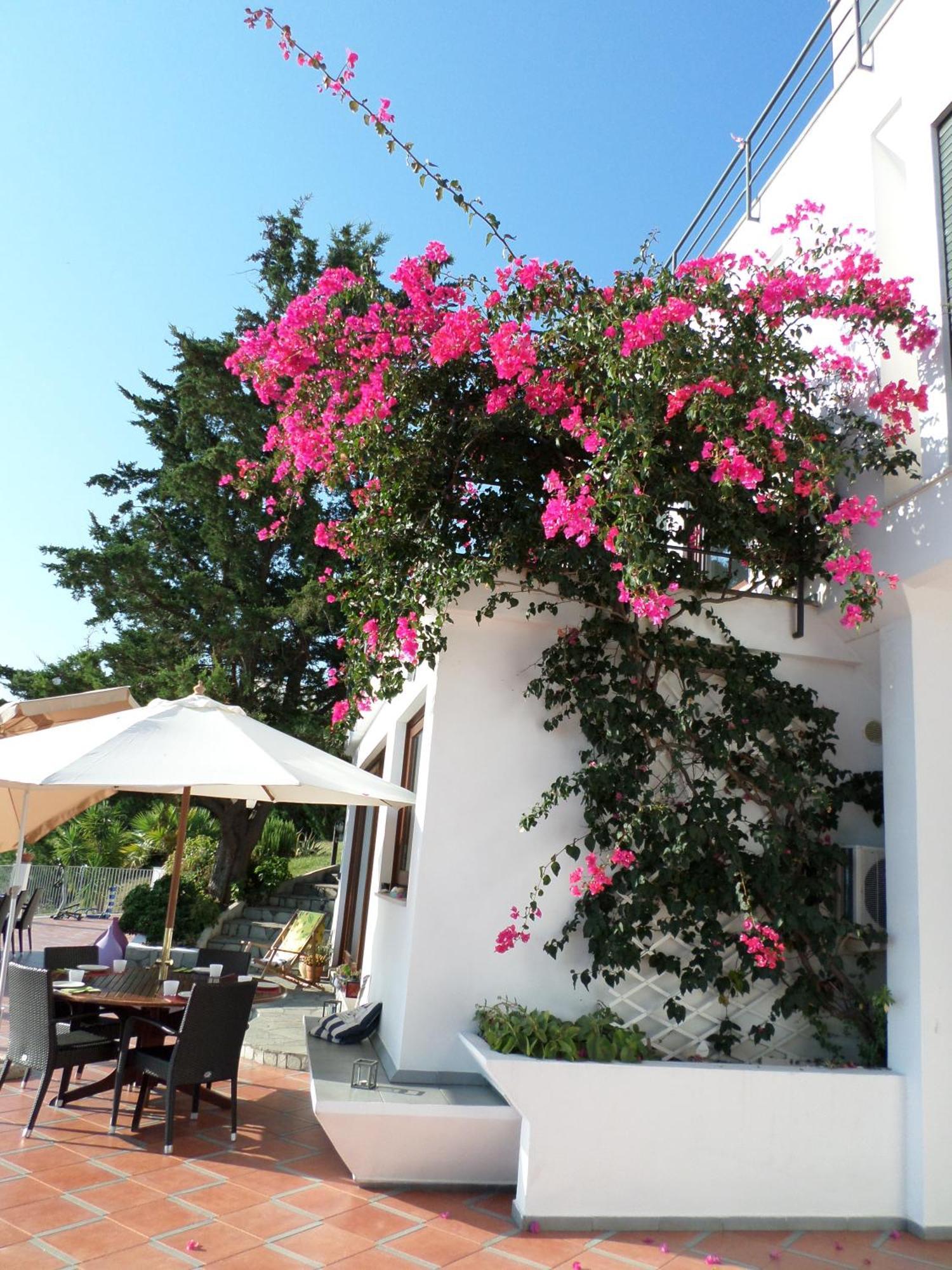 Baia Scirocco Bed And Breakfast Peschici Luaran gambar